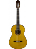 CG-TA TransAcoustic, зображення 8